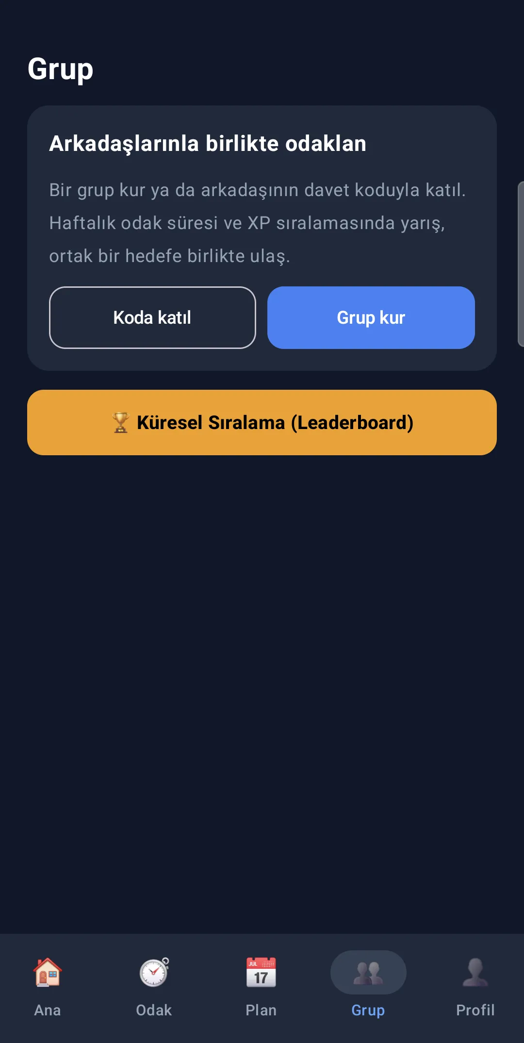 Grup ve sıralama ekranı